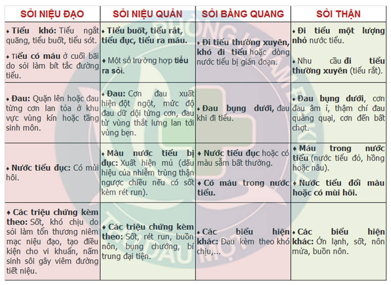 Biểu hiện các loại sỏi niệu cần lưu ý