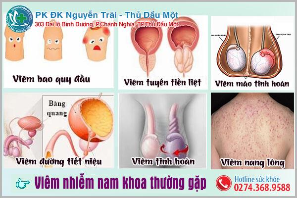 7 bệnh lý viêm nhiễm nam khoa thường gặp ở nam giới