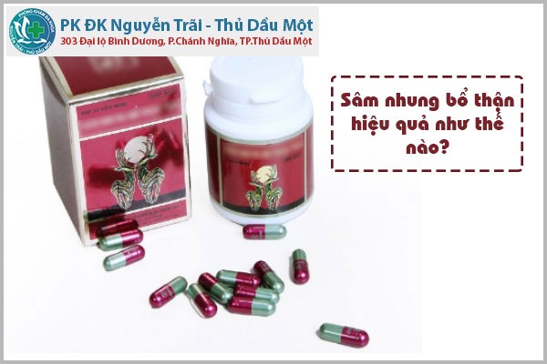 Sâm nhung bổ thận hiệu quả như thế nào?